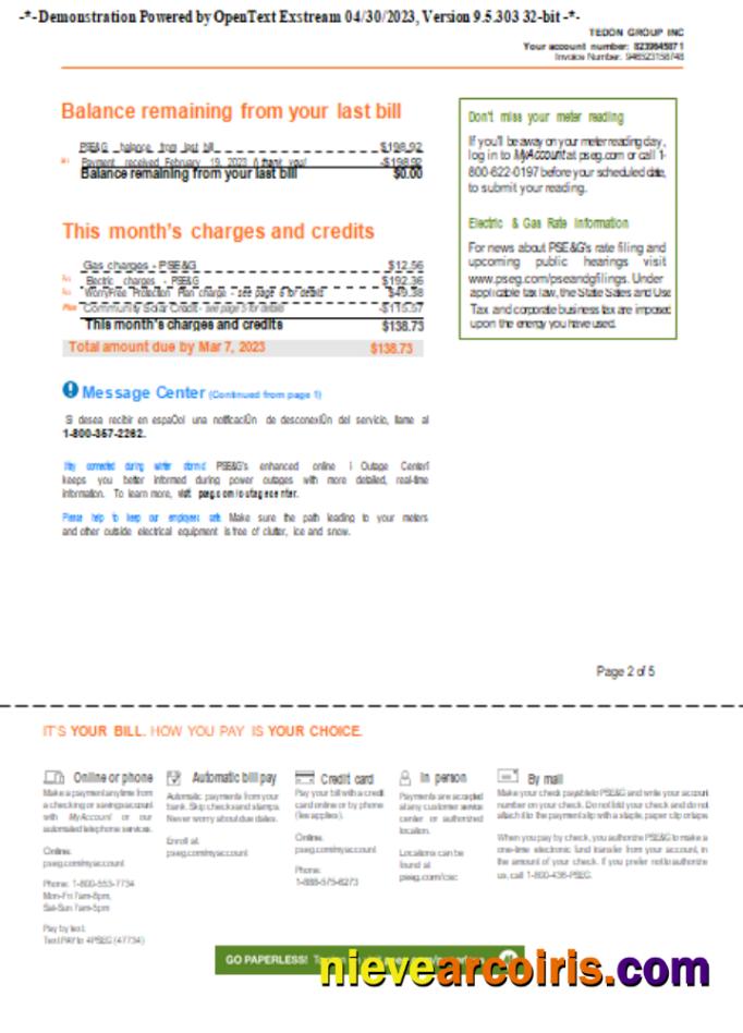 New York PSEG utility business bill, page 2